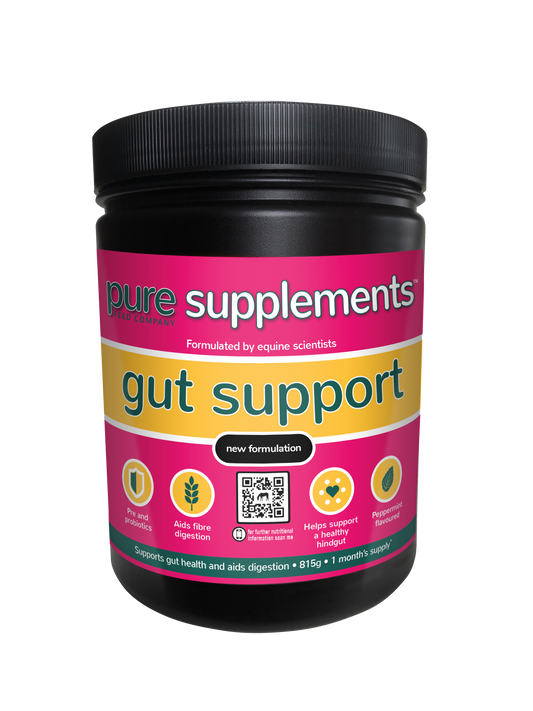 Pure Feed Gut Support
