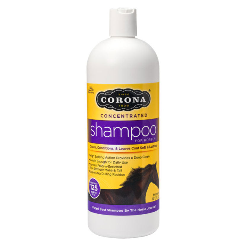 Corona Concentrated Shampoo